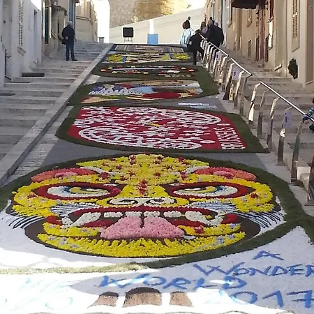 Palma Villa *